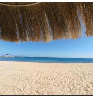 Princess resort - 8