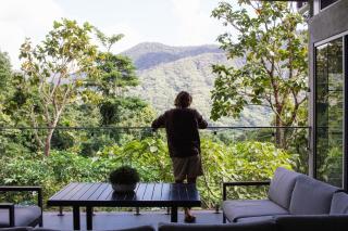 Rainforest Retreat - Pool W Stunning Views - 4