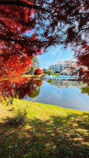 Green Park - Lloret de Mar Punta del Este - 9