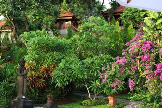 Shanti Natural Panorama View Hotel - 4