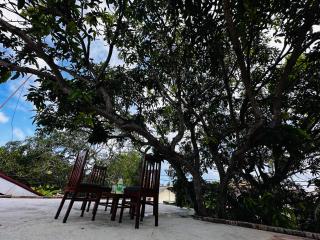 Mango tree heaven - 2