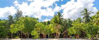 Dayan Dive Homestay Raja Ampat - 0