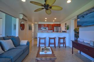 Sea and Sky Beachfront Condo, AC, Ocean Views, Sunrises, Steps to Beach! - 6