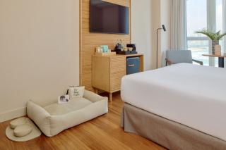 Meliá Maria Pita - 3