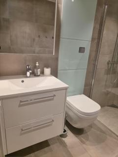 Vervet Premium Apartment 205 - 5