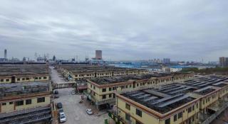 Green Tree Inn Express Shandong Dezhou Qihe County Qiqifa - 1