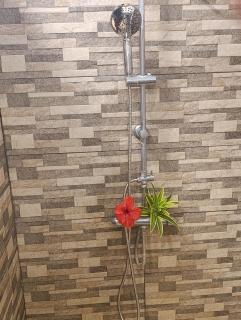 Raihere Lodge - 6