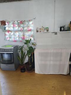 home of plants - 9