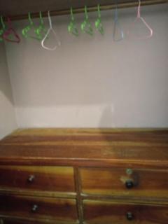 home of plants - 3
