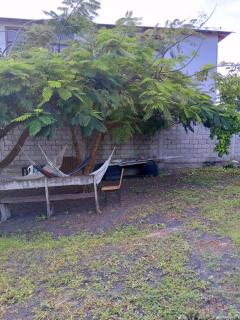 home of plants - 1