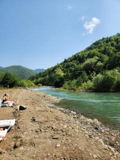 ShodaView - 5
