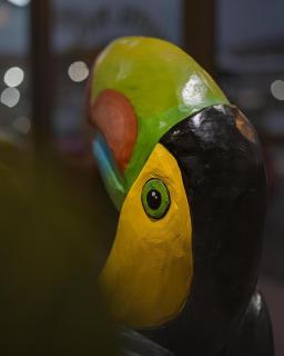 Hotel el Tucan Alajuela - 6