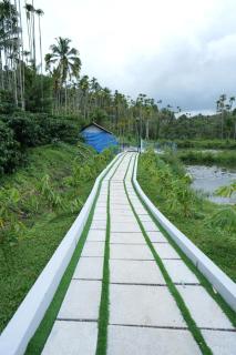 Wayanad Palm Grove Retreat G Floor - 8