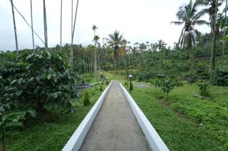 Wayanad Palm Grove Retreat G Floor - 1