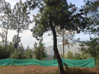 नयनतारा - 1