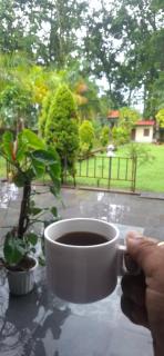 A Terrasse Retreat Resort Siliguri - 3