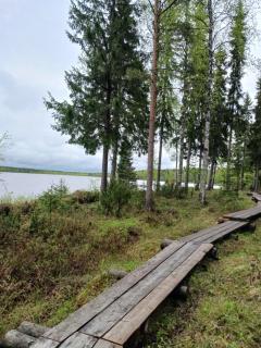 Minihome Lapponica - 1