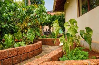 Lakeshore Resort Wayanad - 1