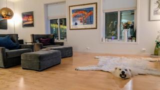 Luxurious apartment in the City Center - 3