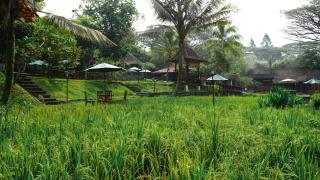 Padi Heritage Hotel - 1