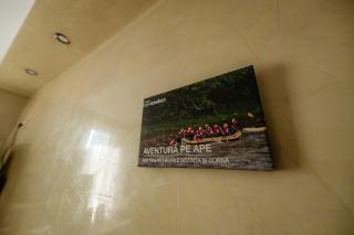 Downtown Cozy Retreat-Ultra Central Balcon&Parcare Gratuita - 2