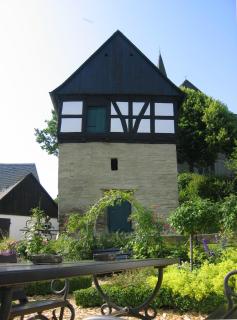 Ferienhaus Wahle - 9