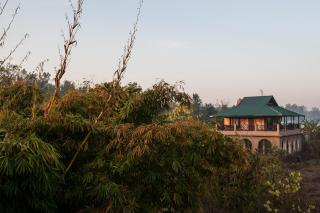 Jim's Jungle Retreat - 5