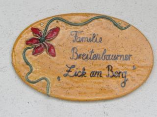 Ferienhof Breitenbaumer - Spital am Pyhrn - 9