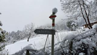 Alpenliebe Montafon - 2