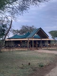 Safari to remember - 2