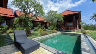 Dapha Eco Lodge Lovina - 0