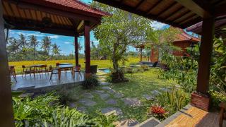 Dapha Eco Lodge Lovina - 8