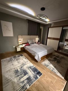 Entire place-Fully Brand New Furniture - New Cairo - 0