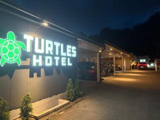 Turtles Hotel - 9