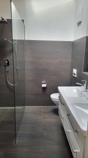 Stylish, modern Alpine apartment in Disentis - 2