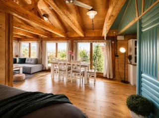 Luxusní wellness srub Orlík - 6