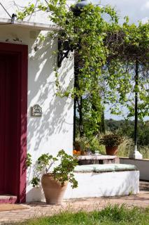 Villa Lavanda by Época Suites - 9