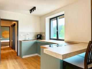 Moderní apartmán s balkónkem - Otawa - 9