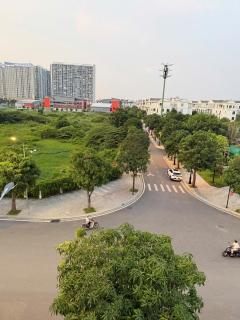 Hoa Hồng S02 - 8