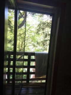 Haus im Wald - 4