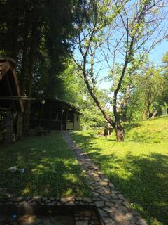 Haus im Wald - 1