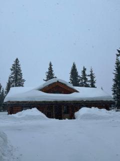 Timber cabin - 1
