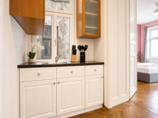 Lovely 1BR Apt. near AKH Hospital - 6