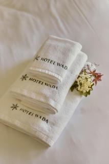Hotel Wada - Rimski vrelec - 9