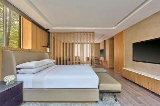 Aravali Marriott Resort & Spa, Delhi NCR - 1