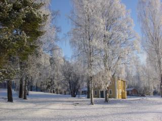 Värmland Ski Chalets - 4