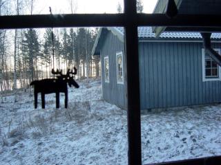Värmland Ski Chalets - 3