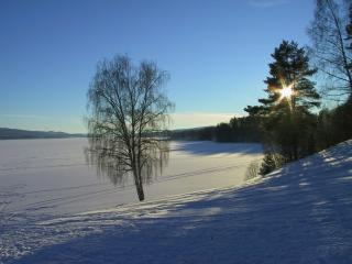 Värmland Ski Chalets - 1
