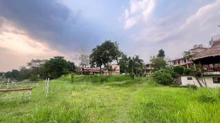 Jungle Wildlife Camp - 4