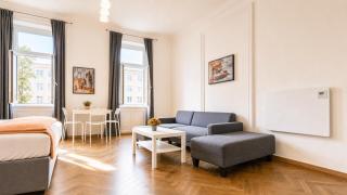 Two Charming Apartments near Volksoper & AKH - 4